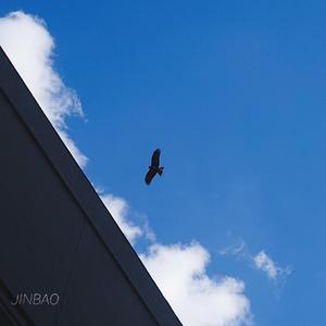 甘露寺蜜璃被强❌黄动漫
